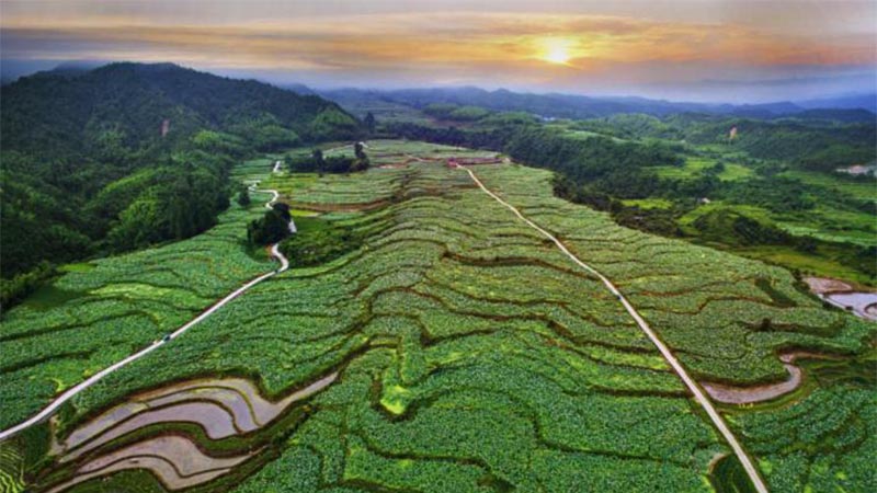 科技助力，農(nóng)旅結(jié)合 紅色老區(qū)建寧“綠色崛起”