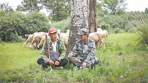 高清大圖｜塞北荒山，老兵播種“綠色夢”