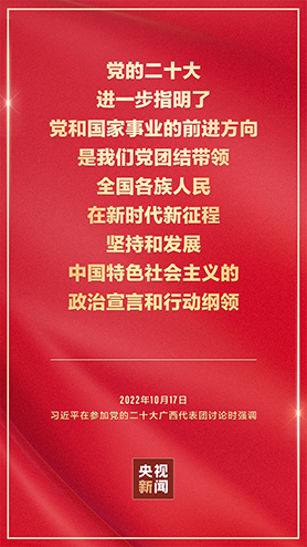 金句海報丨把黨的二十大重大決策部署付諸行動、見之于成效