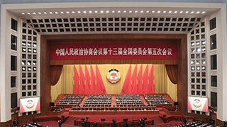 熱評(píng)兩會(huì)丨篤行不怠勤履職，再接再厲續(xù)華章